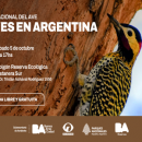 La Reserva Ecológica Costanera Sur celebra el Día Nacional del Ave