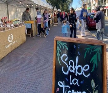 La feria itinerante Sabe la Tierra que ofrece productos saludables y diseño sostenible